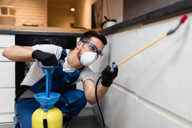 Best Mosquito Control Services  in St Augustine South, FL