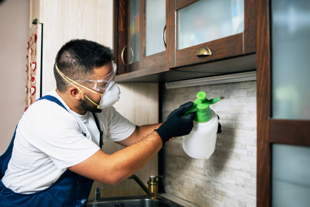 Pest Control for Restaurants in St Augustine South, FL