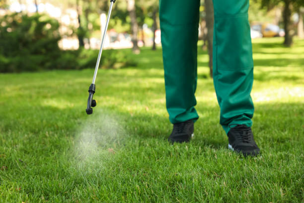 Best Commercial Pest Control Services  in St Augustine South, FL