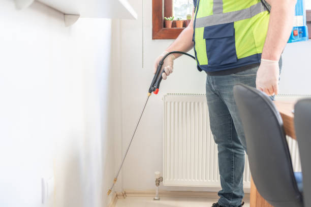 Best Bed Bug Extermination  in St Augustine South, FL